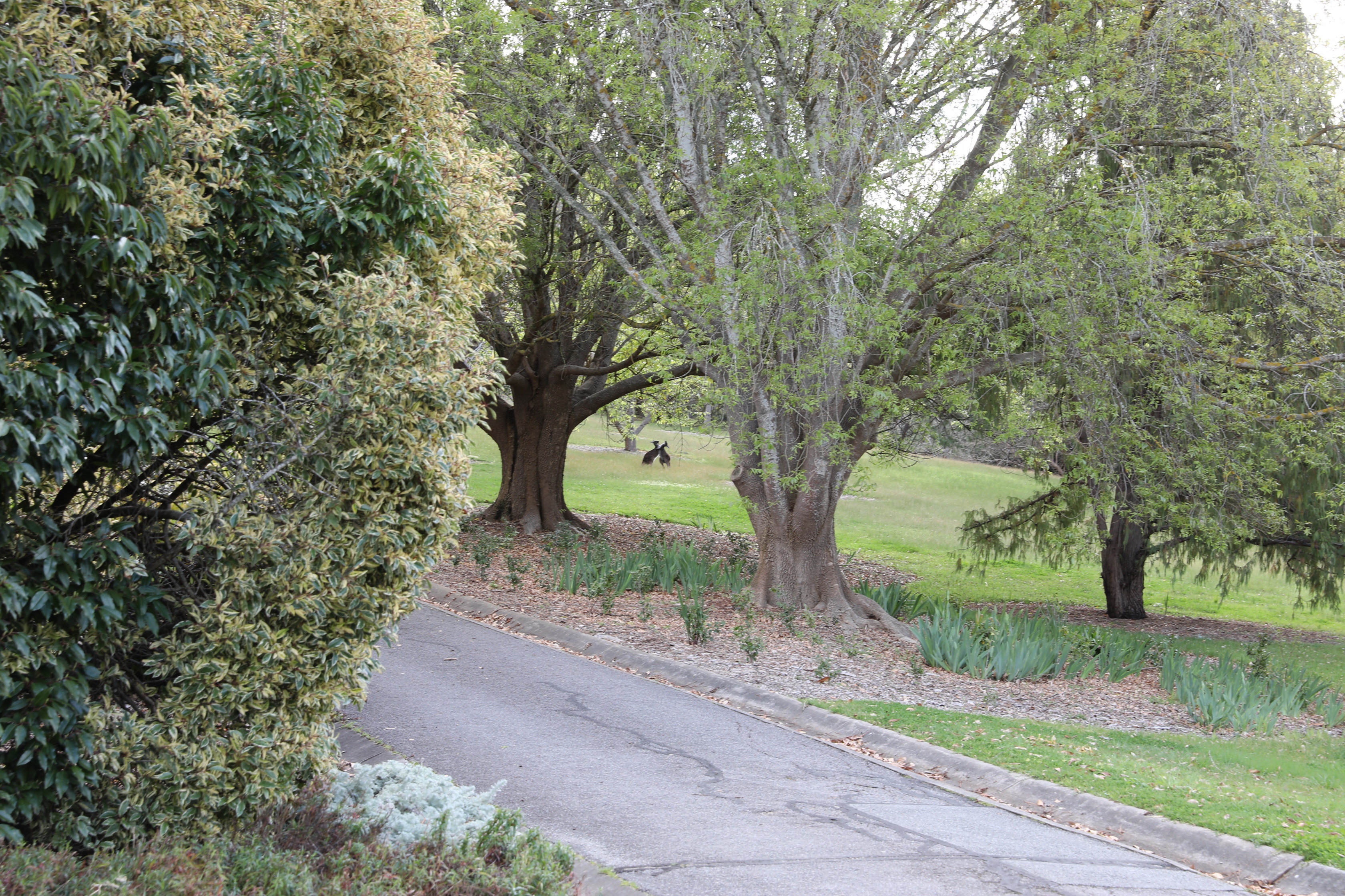 2019 09 21 16 17 04 Canon EOS 5D Mark IV 0018